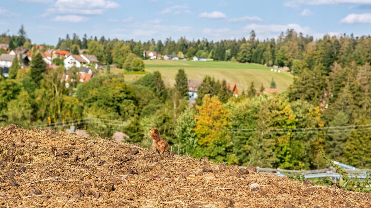 Landpension Pferdekoppel - B&B - Self Checkin Seewald Eksteriør bilde